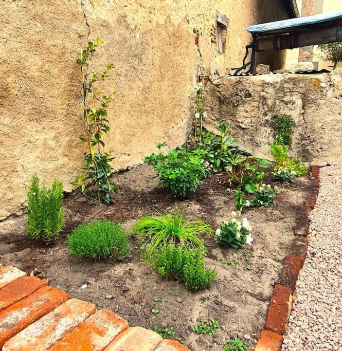 Gite L'Annexe Du Prieure Besson エクステリア 写真